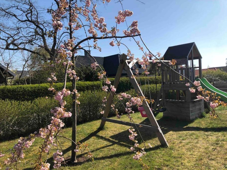 Villa Lyckehusen Loddekopinge Exterior foto